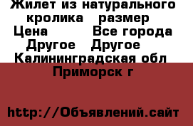 Жилет из натурального кролика,44размер › Цена ­ 500 - Все города Другое » Другое   . Калининградская обл.,Приморск г.